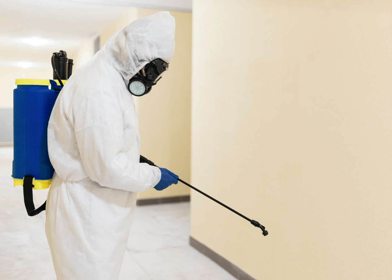 Hawx Pest Control Reviews: Why Homeowners Keep Choosing Them